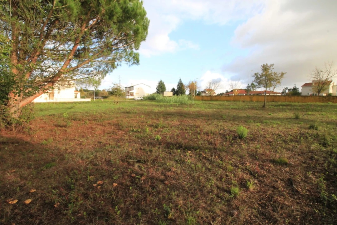 Terreno para Venda em Sebal e Belide Foto 6