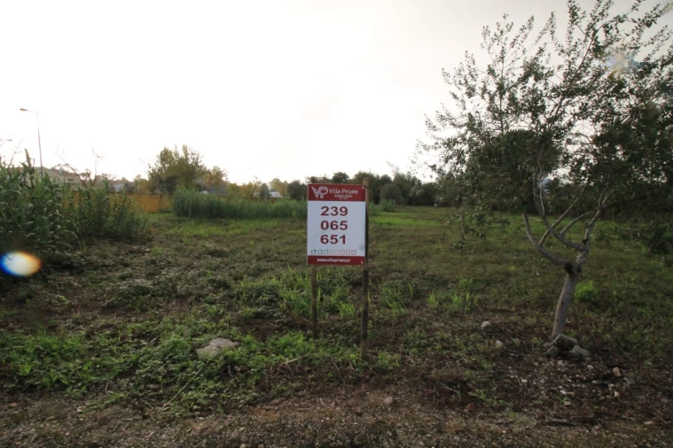 Terreno para Venda em Sebal e Belide Foto 2