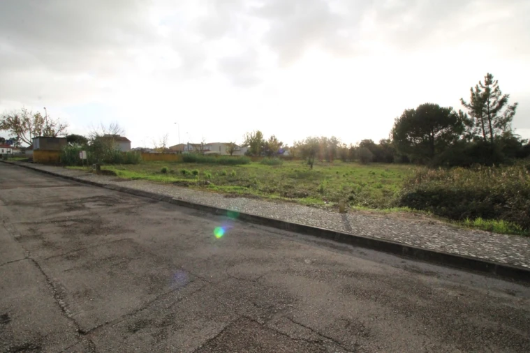 Terreno para Venda em Sebal e Belide Foto 5