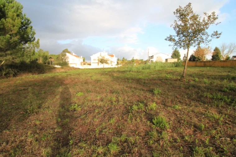 Terreno para Venda em Sebal e Belide Foto 7