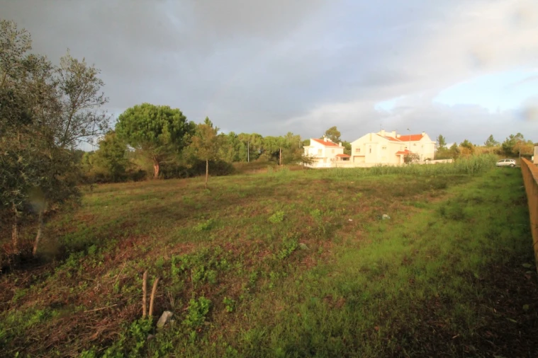 Terreno para Venda em Sebal e Belide Foto 8