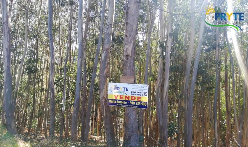 Terreno para Venda em Pedrogão Grande Foto 10