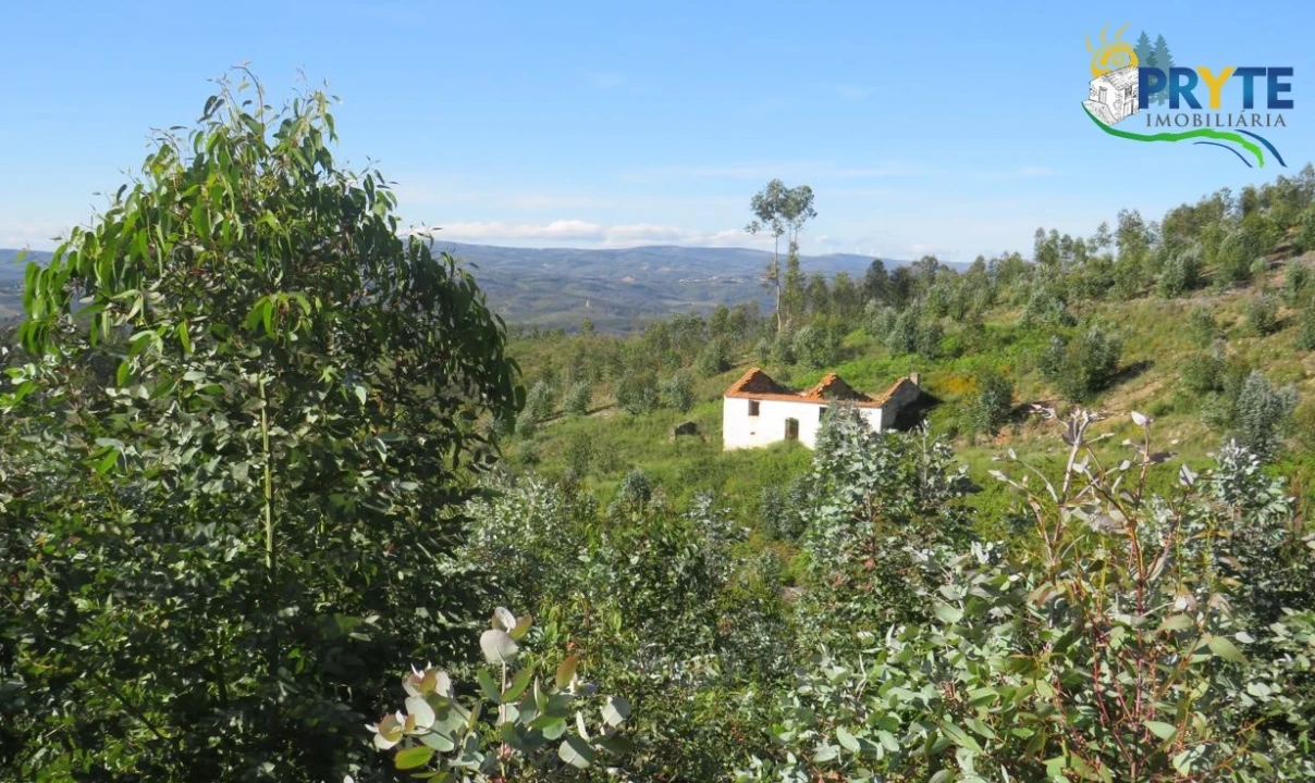 Terreno para Venda em Sertã Foto 8