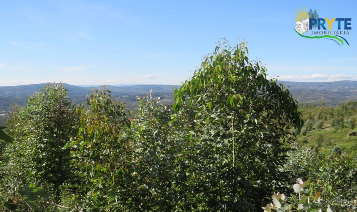 Terreno para Venda em Sertã Foto 9