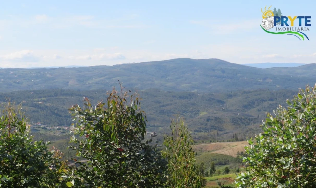 Terreno para Venda em Sertã Foto 10