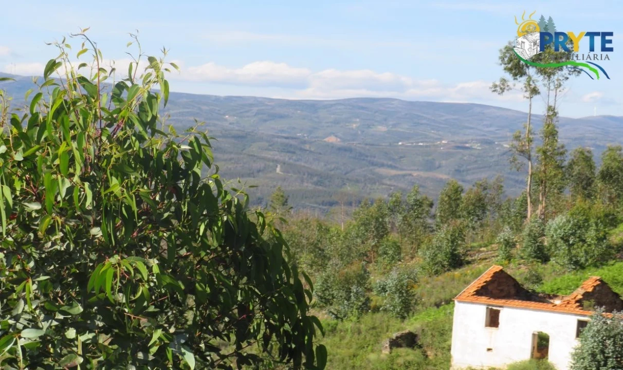 Terreno para Venda em Sertã Foto 11
