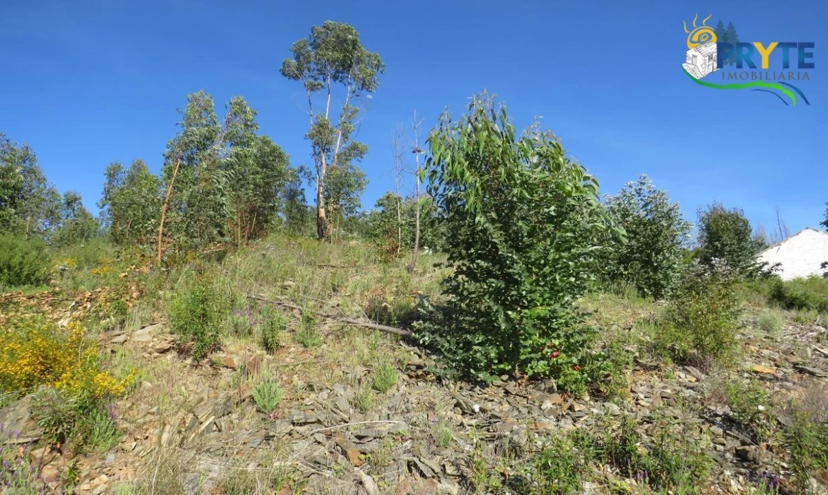 Terreno para Venda em Sertã Foto 25