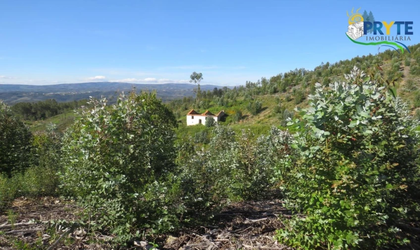 Terreno para Venda em Sertã