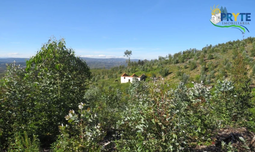 Terreno para Venda em Sertã Foto 6