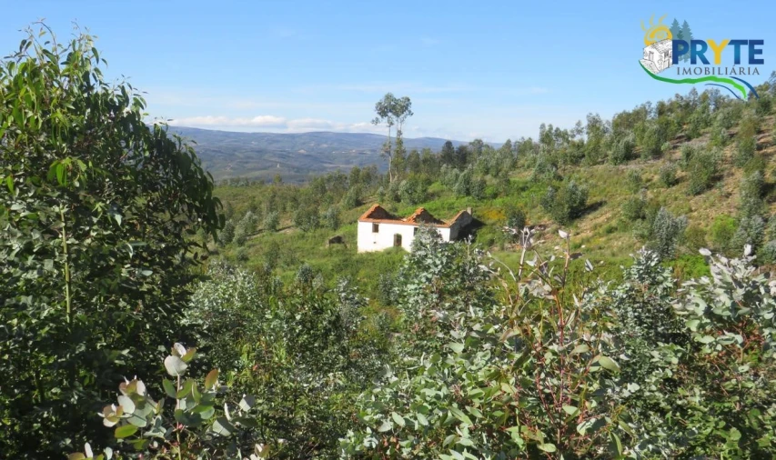 Terreno para Venda em Sertã Foto 7