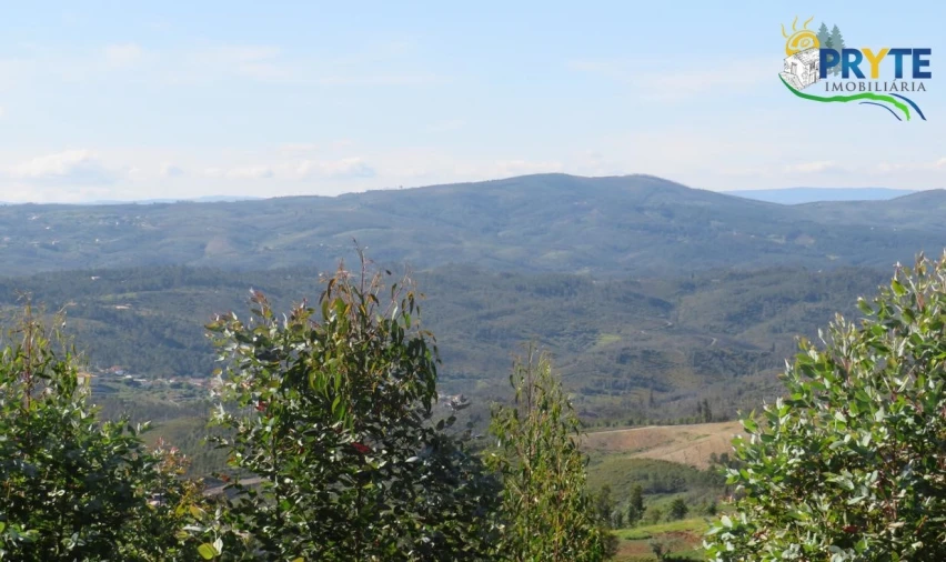 Terreno para Venda em Sertã Foto 10