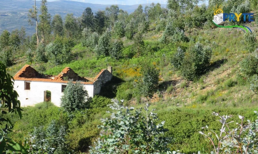Terreno para Venda em Sertã Foto 12