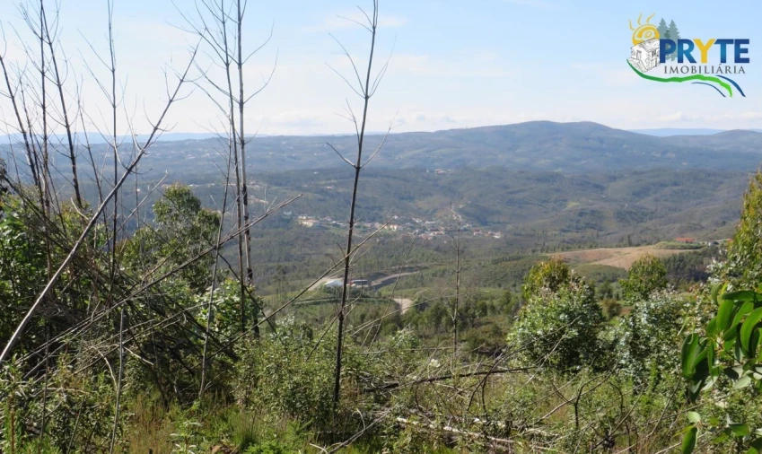 Terreno para Venda em Sertã Foto 13