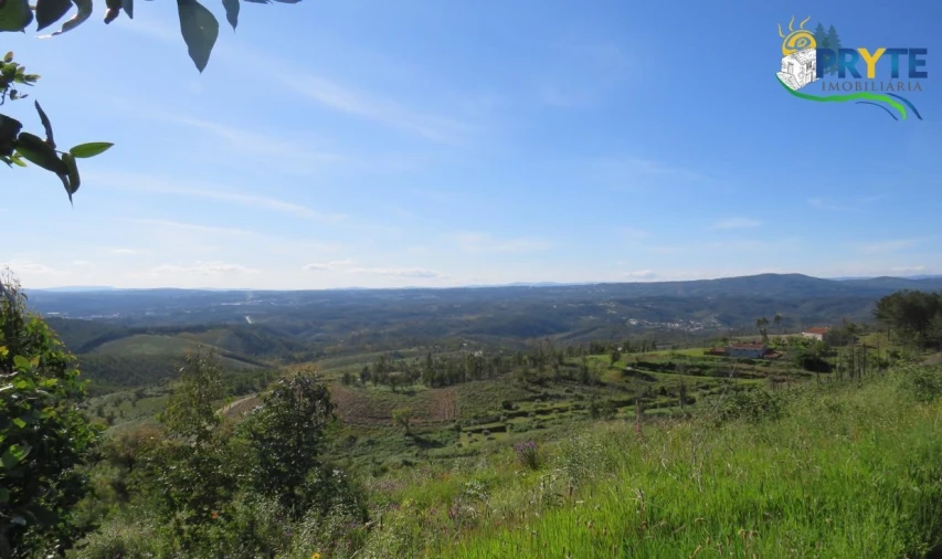 Terreno para Venda em Sertã Foto 16