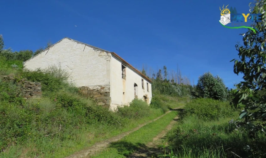 Terreno para Venda em Sertã Foto 18