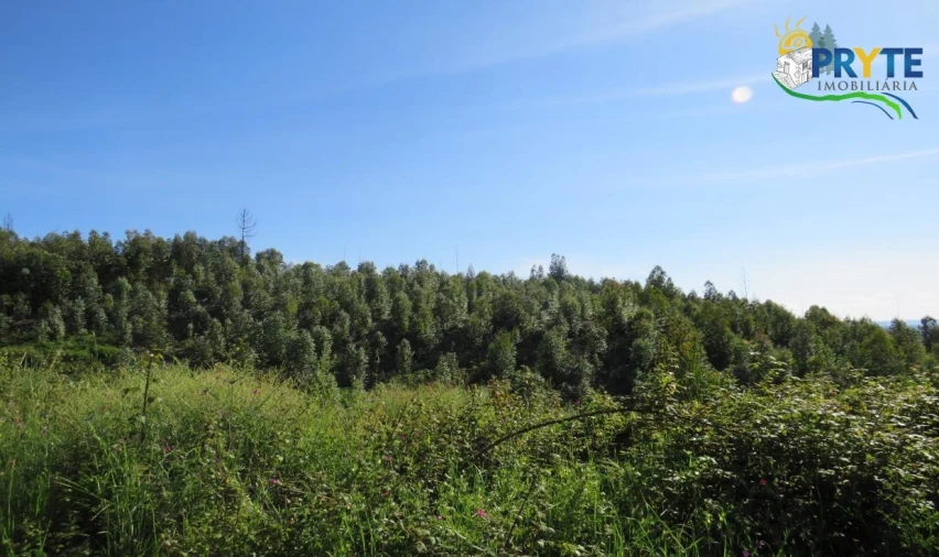 Terreno para Venda em Sertã Foto 22