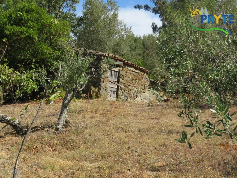 Terreno para Venda em Alvaro Foto 2