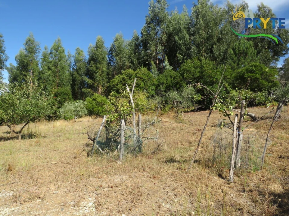 Terreno para Venda em Alvaro Foto 4