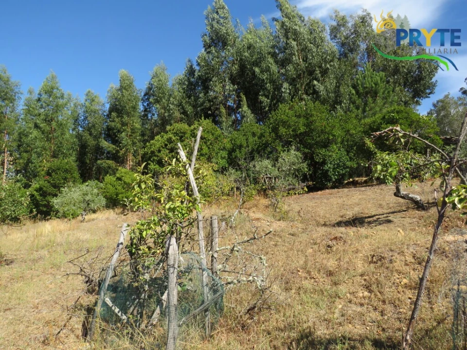 Terreno para Venda em Alvaro Foto 6