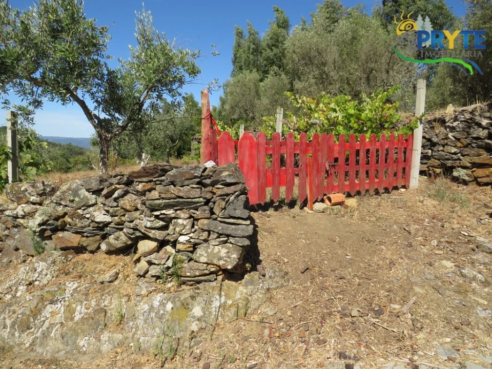 Terreno para Venda em Alvaro Foto 15