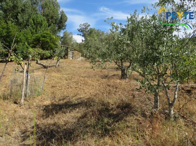 Terreno para Venda em Alvaro Foto 3