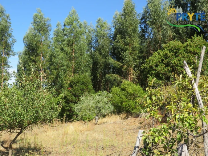 Terreno para Venda em Alvaro Foto 7