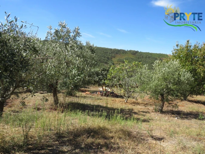 Terreno para Venda em Alvaro Foto 8