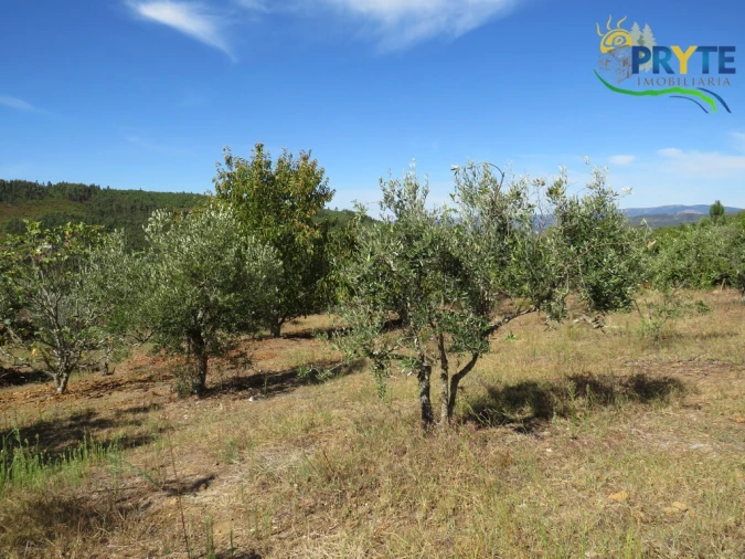 Terreno para Venda em Alvaro Foto 9