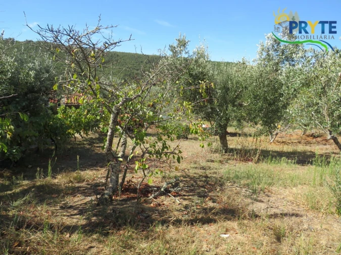 Terreno para Venda em Alvaro Foto 10