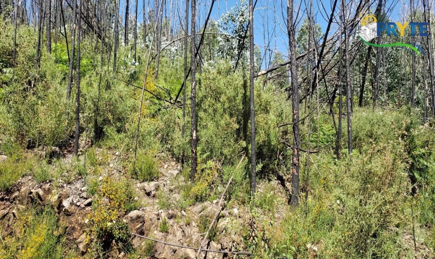 Terreno para Venda em Troviscal Foto 4
