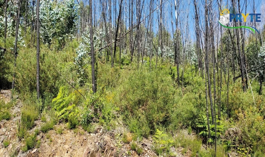 Terreno para Venda em Troviscal
