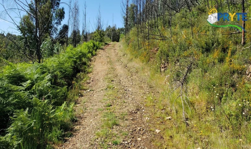 Terreno para Venda em Troviscal Foto 11