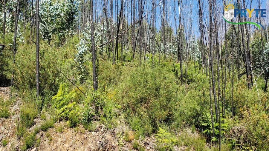 Terreno para Venda em Troviscal
