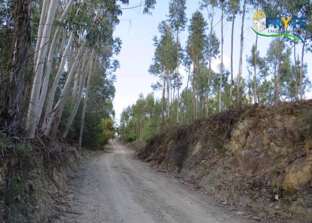 Terreno para Venda em Sertã Foto 7