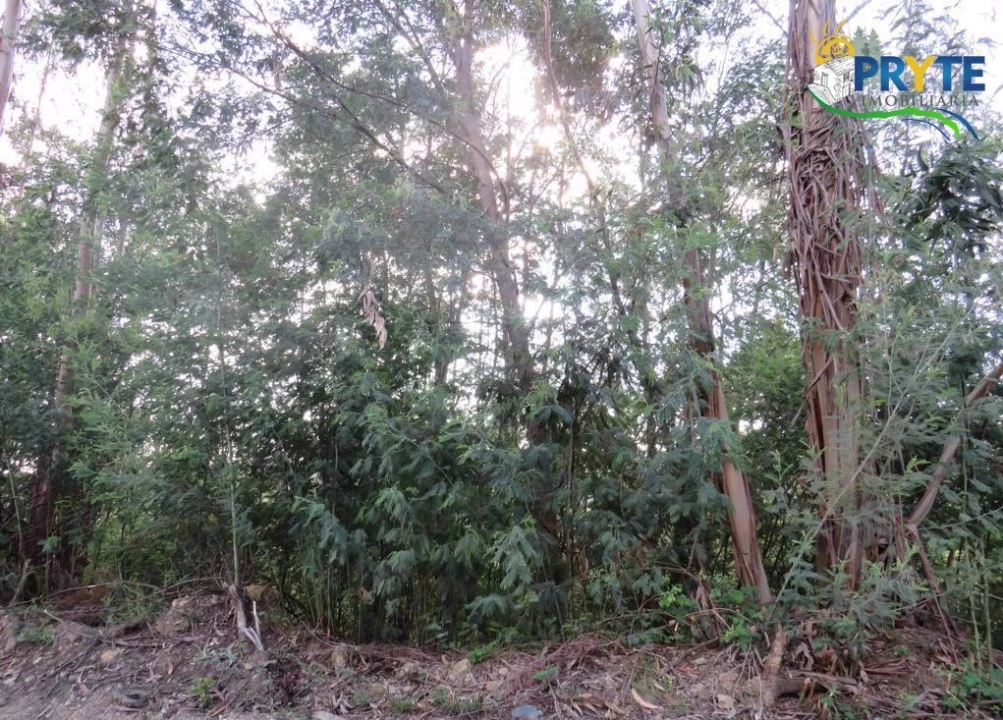 Terreno para Venda em Sertã Foto 11