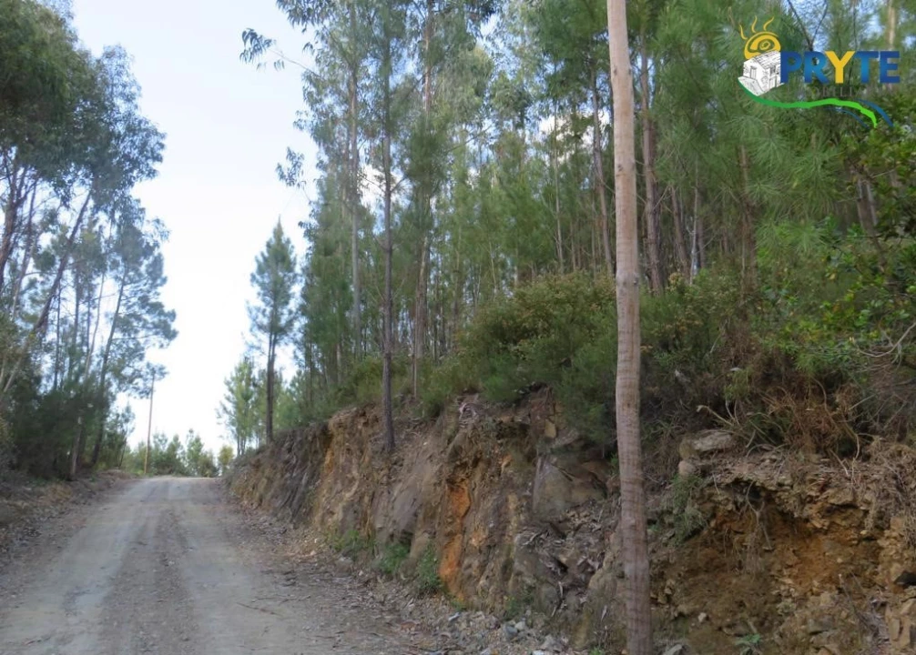 Terreno para Venda em Sertã Foto 17