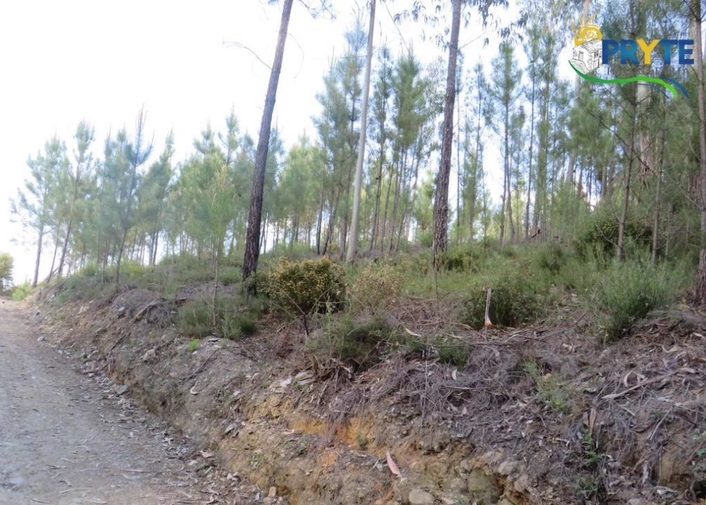 Terreno para Venda em Sertã Foto 19