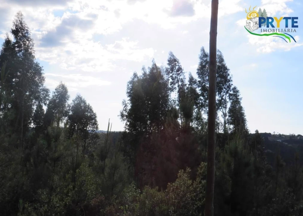 Terreno para Venda em Sertã Foto 23