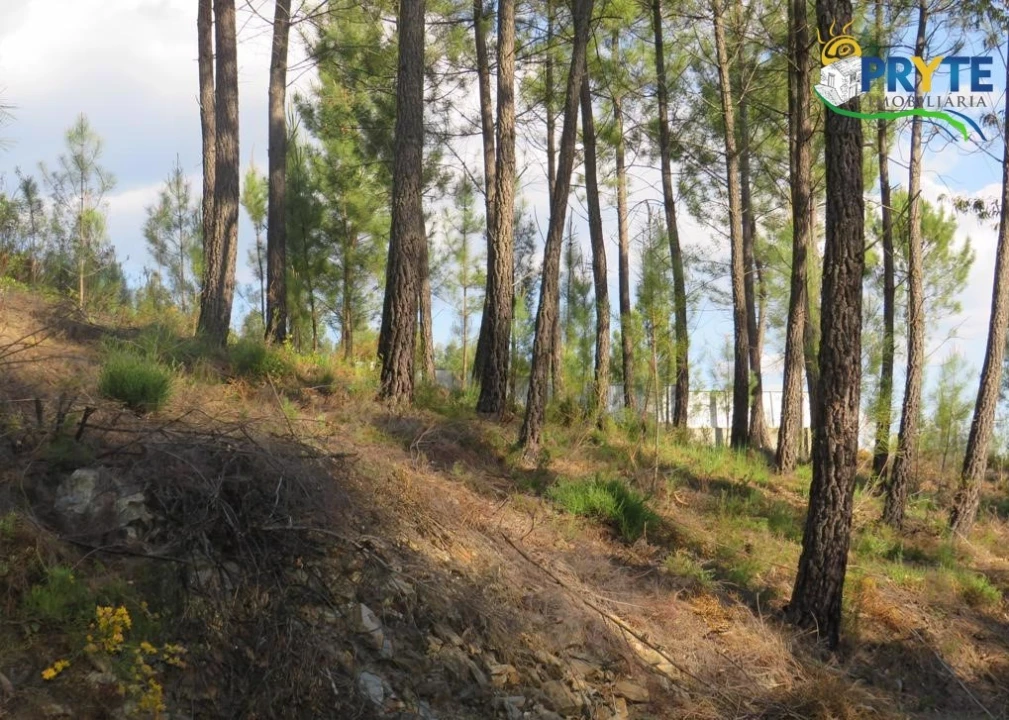 Terreno para Venda em Sertã Foto 31