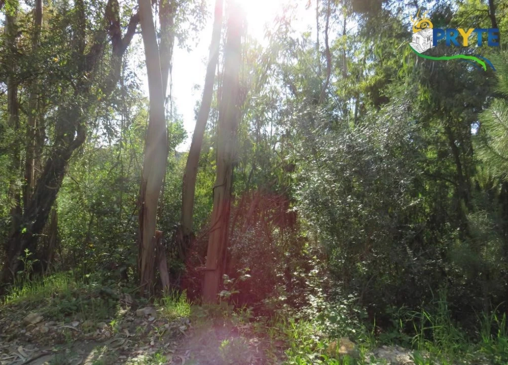 Terreno para Venda em Sertã Foto 34