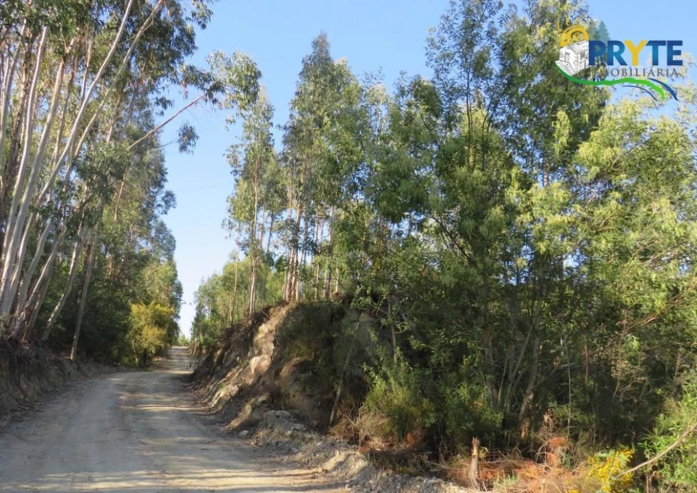 Terreno para Venda em Sertã Foto 35