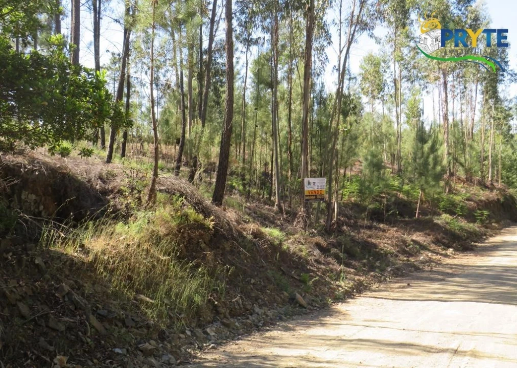 Terreno para Venda em Sertã Foto 37