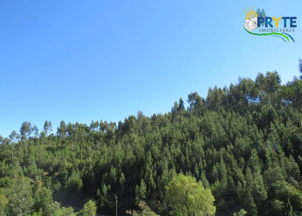 Terreno para Venda em Sertã Foto 38