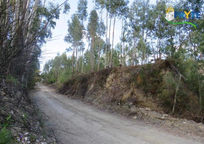 Terreno para Venda em Sertã Foto 5
