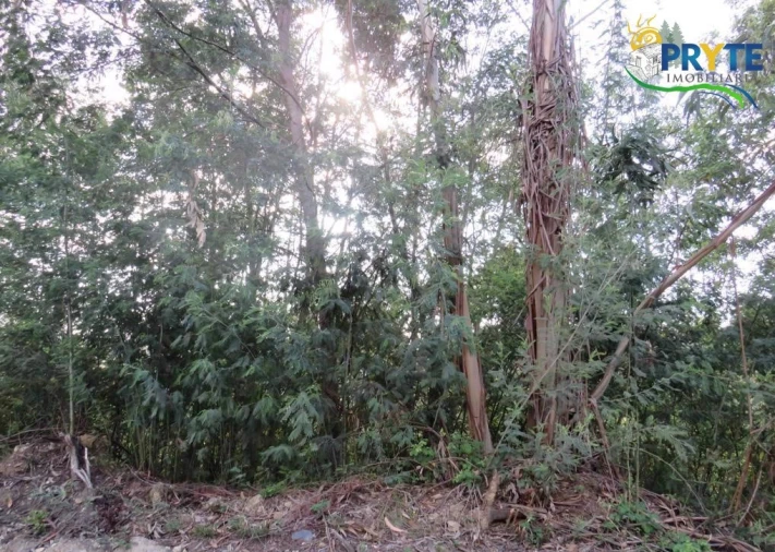 Terreno para Venda em Sertã Foto 10