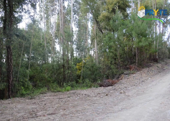 Terreno para Venda em Sertã Foto 16