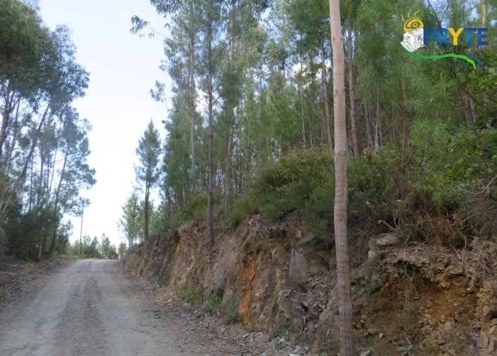 Terreno para Venda em Sertã Foto 17