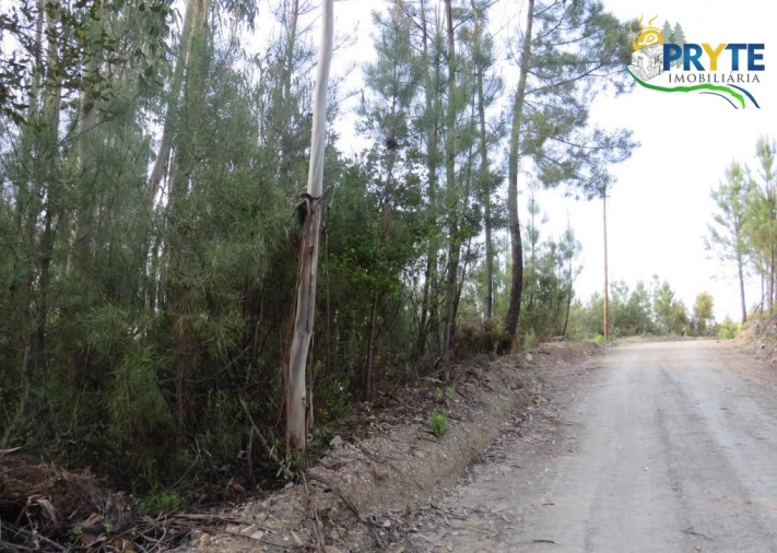 Terreno para Venda em Sertã Foto 18