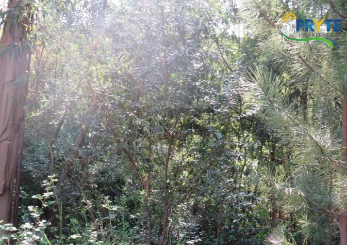 Terreno para Venda em Sertã Foto 33