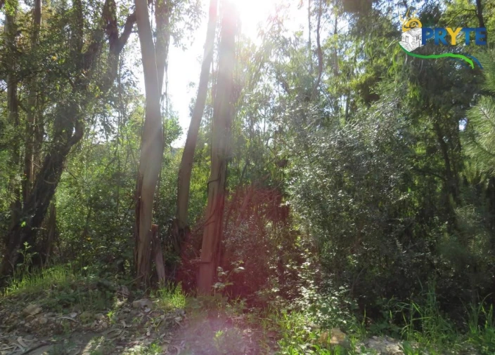 Terreno para Venda em Sertã Foto 34